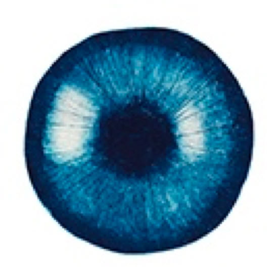 laurence de Saint Martin st artiste d&eacute;co originale oeil bleu gravure eau-forte boite lumi&egrave;re la vigilante